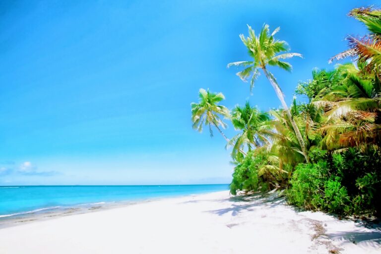 Breathtaking shot of the sunny beach with palms in Fiji islands